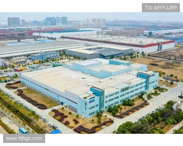 武汉羽毛球队在联合会杯中的灵活性表现分析与点评